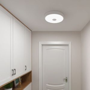 Crystal Sensor-Deckenleuchte Mini | EU-Version | Yeelight | B0831NCRLC | YLXD09YL